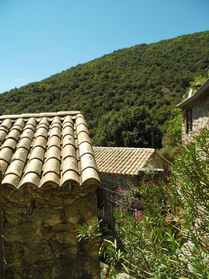Mas Des Nabieres Bed & Breakfast Saint-Martial  Eksteriør bilde